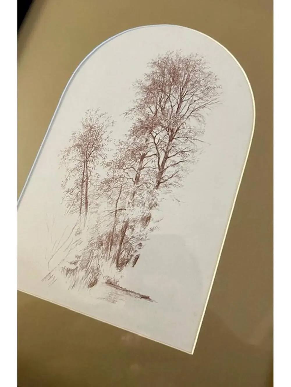 Framed Botanical Tree Art Print in Black Frame and Tan Mat
